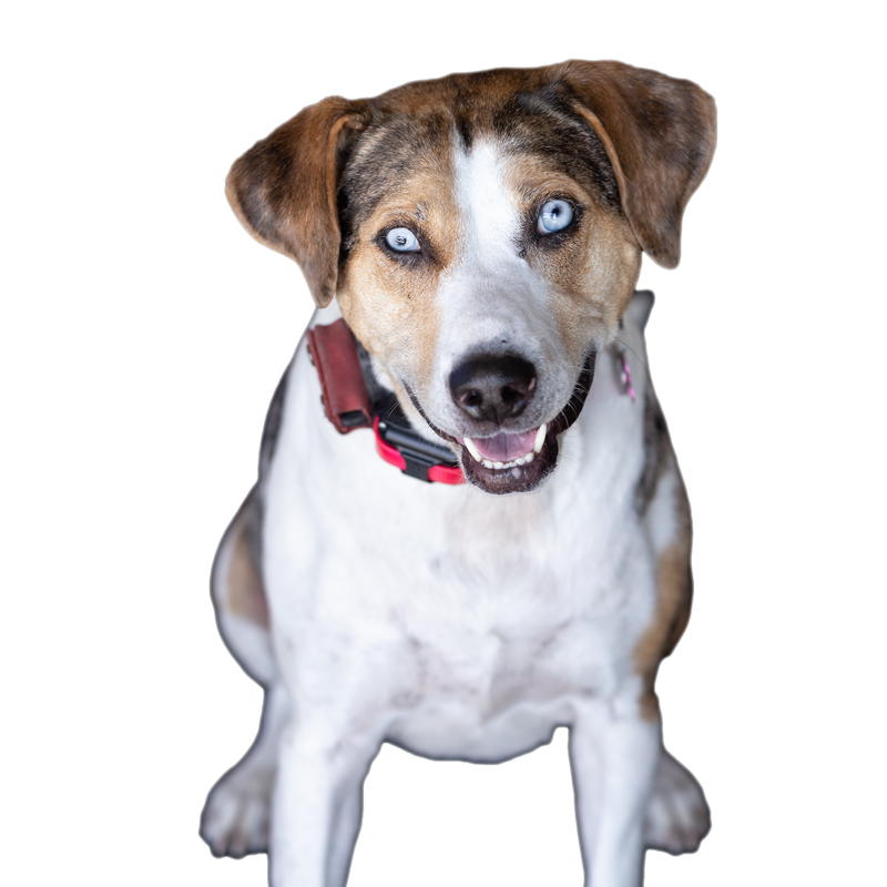 Lucy